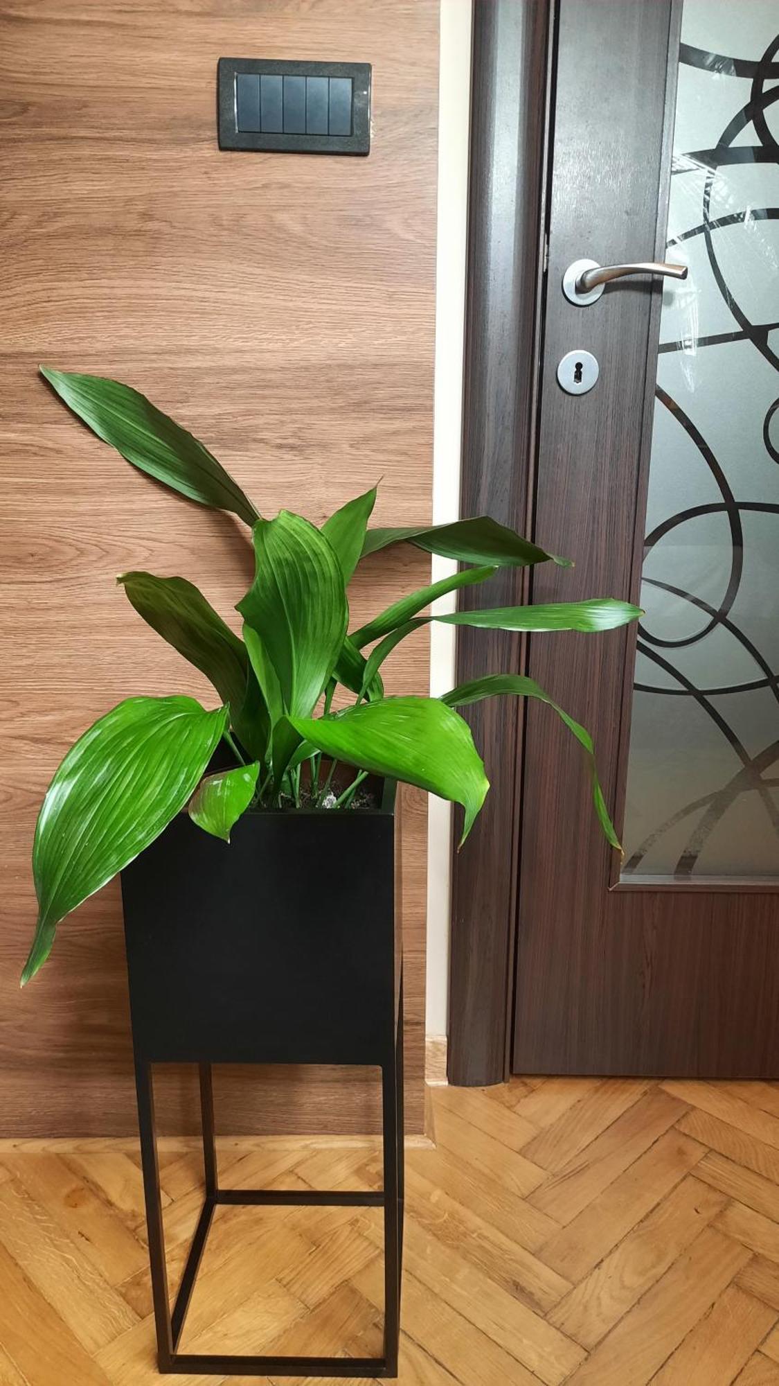 Stan Na Dan Apartman D Lux Jacuzzi 克拉古耶瓦茨 外观 照片